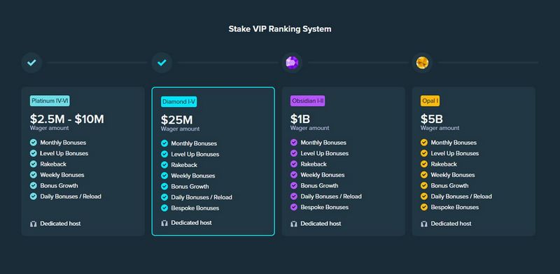 Genuine Gamer Experience from Risk Casino Evaluation for New Zealand Market